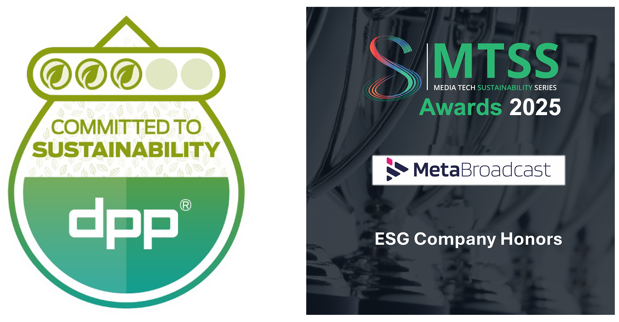 sustainability and mtss awards
